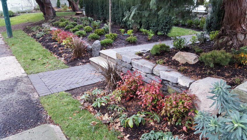 Landscaping for Beginners: Tips and Ideas