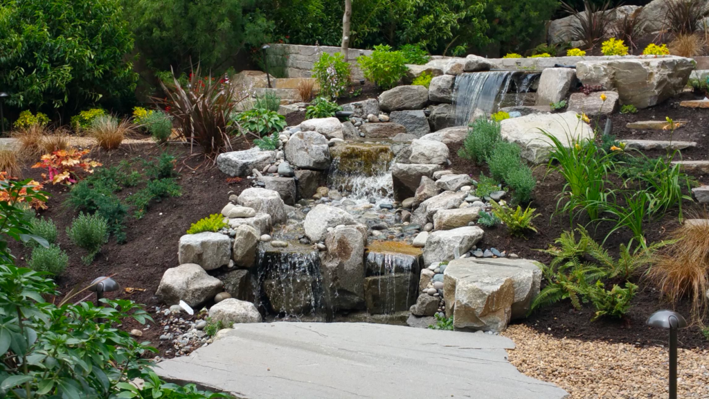 Water-Wise Landscaping: Tips and Ideas for Drought-Tolerant Plants