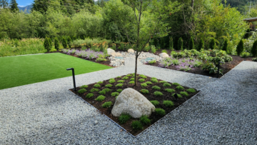 Trends in landscaping