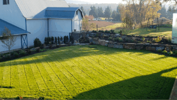 Professional Landscaping Design