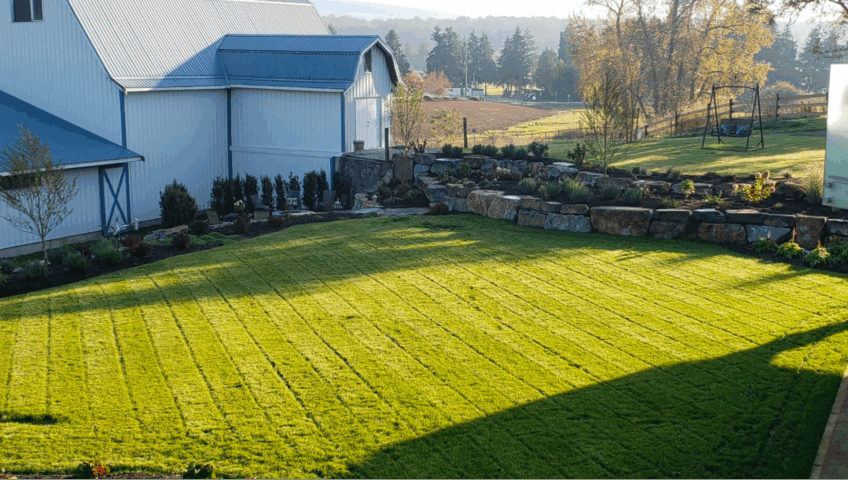 Professional Landscaping Design